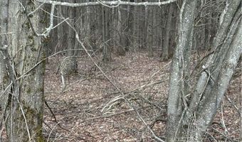 Lynch Casey Road, Andover, NY 14806