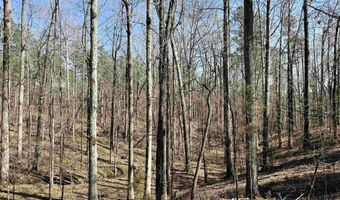 Highway 28, Abbeville, SC 29620