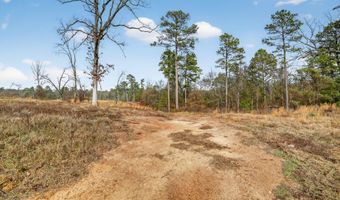868 County Road 2920, Alba, TX 75410