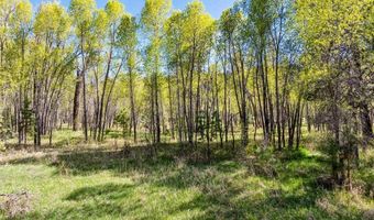 65 Pinestone Dr, Bayfield, CO 81122
