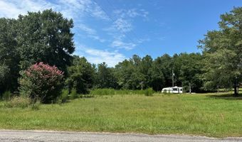 177 155 Pebble Cove Rd, Abbeville, AL 36310