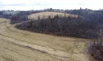 20 Ac. Valley Rd, Argyle, WI 53504