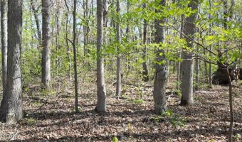 000 N Plainview, Anderson, MO 64831