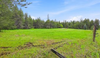 80 Rodeo Rd, Athol, ID 83801
