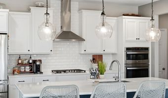 7995 Veranda Curv, Ball Ground, GA 30107