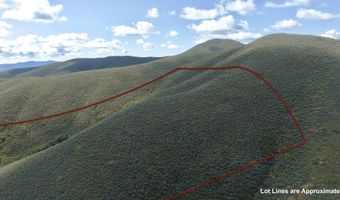 Lees Gulch Rd, Bellevue, ID 83313