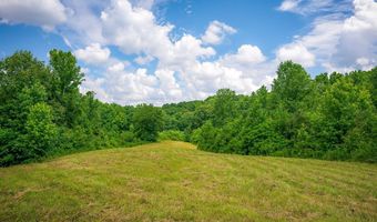 15 Acres Willow Grove Hwy, Allons, TN 38541
