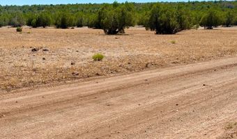 Stagecoach Dr 47 Acres, Ash Fork, AZ 86320