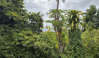 1358 Wanaka St, Honolulu, HI 96818
