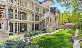 100 E Dean St 1D, Aspen, CO 81611
