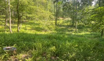 242 Brush Mountain Rd, Altoona, PA 16601