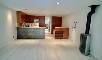 100 E COOPER Ave 2, Aspen, CO 81611