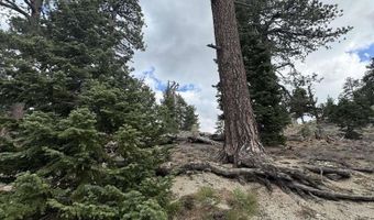 636 Mountain Center 35-0002, Mountain Center, CA 92561