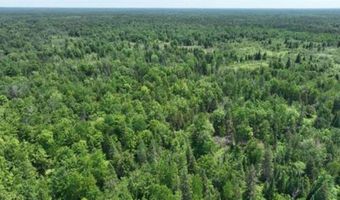 6002 Wildwood, Alger, MI 48610