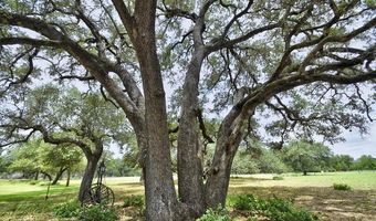 1810 Burr Oak, Adkins, TX 78101