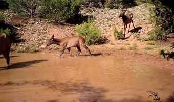 Plaza Blanca Ranch, Abiquiu, NM 87510