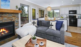 3008 Wildridge Rd B2, Avon, CO 81620