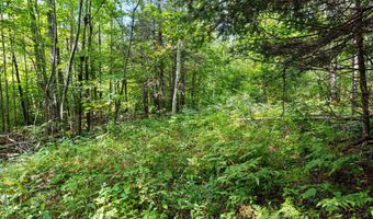 Double Bend Road, Argonne, WI 54511