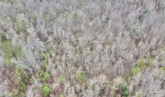 21000 Block Hwy 21, Beatrice, AL 36425