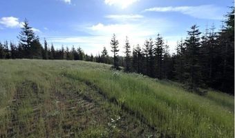 NW LODGE Rd, Banks, OR 97106