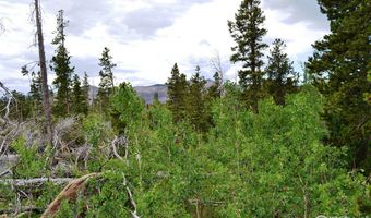 1256 Basking Dog Rd, Bellvue, CO 80512