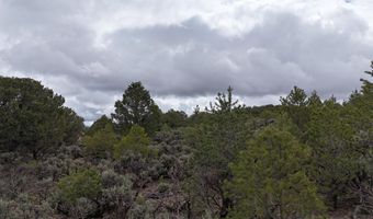 Unk Sandia Canyon Rd, Arroyo Hondo, NM 87513