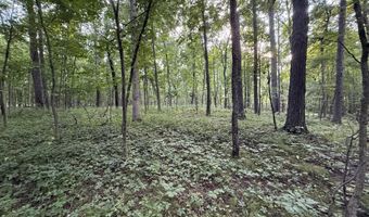 10775 W Ellsworth Rd, Ann Arbor, MI 48103