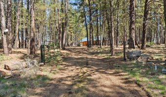 0000 Off Black Pine Rd Lot 10, Bly, OR 97622