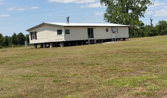 954 NE Robinson Rd - Tract #1, Barney, GA 31625