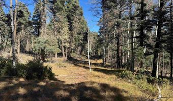 Taos Dr lot 173, Angel Fire, NM 87710