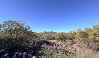 Glenda, Anza, CA 92539
