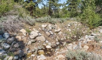2414 Centennial Dr, Genoa, NV 89411