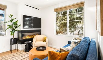 501 W Main St A101, Aspen, CO 81611
