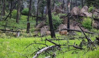 TBD Old Flowers Road, Bellvue, CO 80512