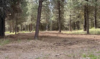 TBD Lot 2 and 3 Timber Haven, Cascade, ID 83611