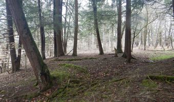 County Route 16, Angelica, NY 14709