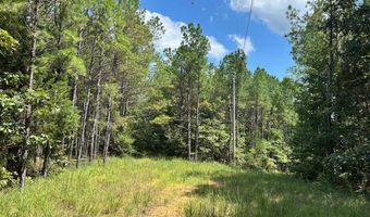Pleasant Hill Road, Ashland, MS 38603