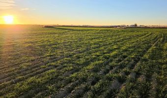 TBD Shumaker Rd, Bennett, CO 80102