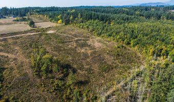 31807 NE 122ND Ave, Battle Ground, WA 98604