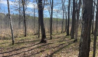 1544 Willard Lake Rd NW, Backus, MN 56435
