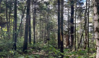 248 Cowan Rd, Averill, VT 05901