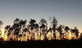 22563 NW Lake Mckenzie Blvd, Altha, FL 32421