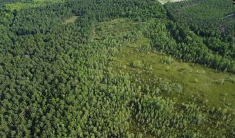 Goldenrod Drive, Barnwell, SC 29812