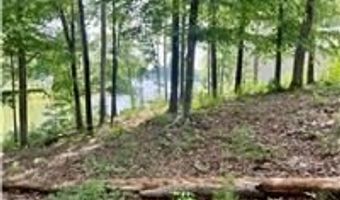 00 LOT 22 Waterside Dr, Abbeville, SC 29620