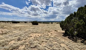 17 County Road N8034, Concho, AZ 85924