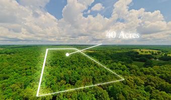 County Road 200, Alton, MO 65606