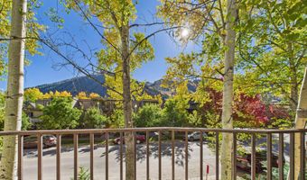 914 E Cooper Ave, Aspen, CO 81611