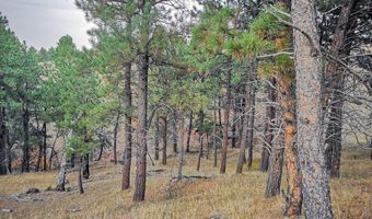 Lot 3 BBCR Road, Belle Fourche, SD 57717