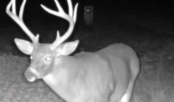 1037 Cr 300, Big Creek, MS 38914