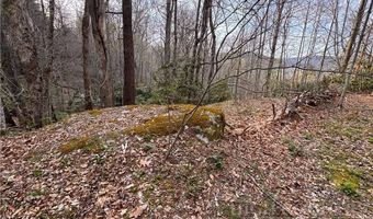 2438 Kellersville Rd, Banner Elk, NC 28604